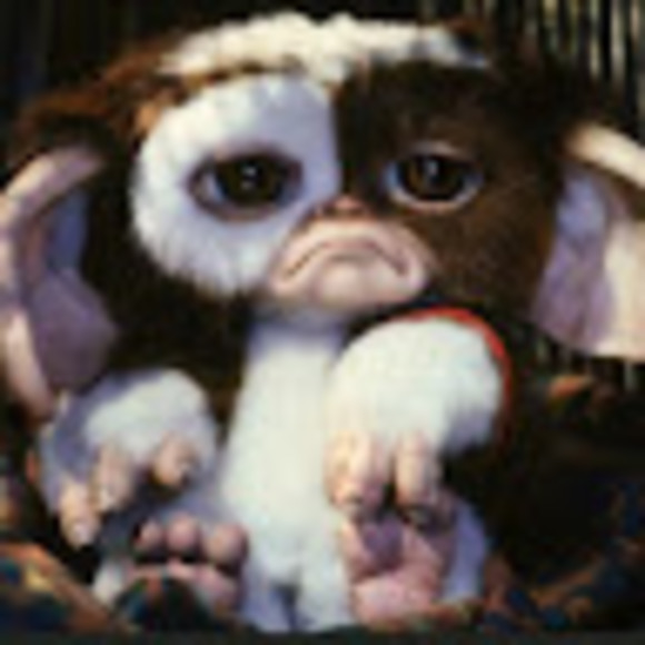 Meet your Posher, C - Picture 1 of 1